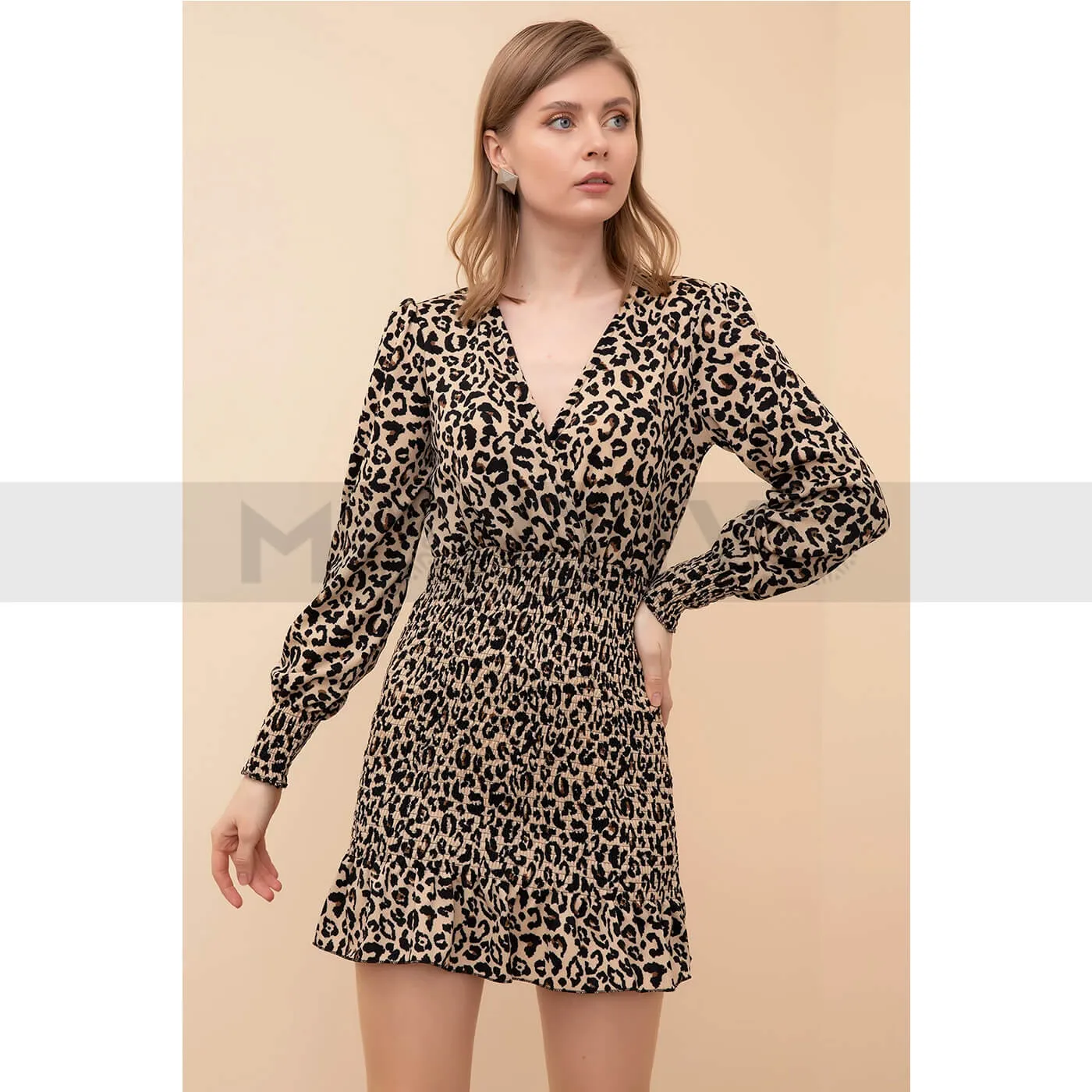 Animal Print Patterned Dress