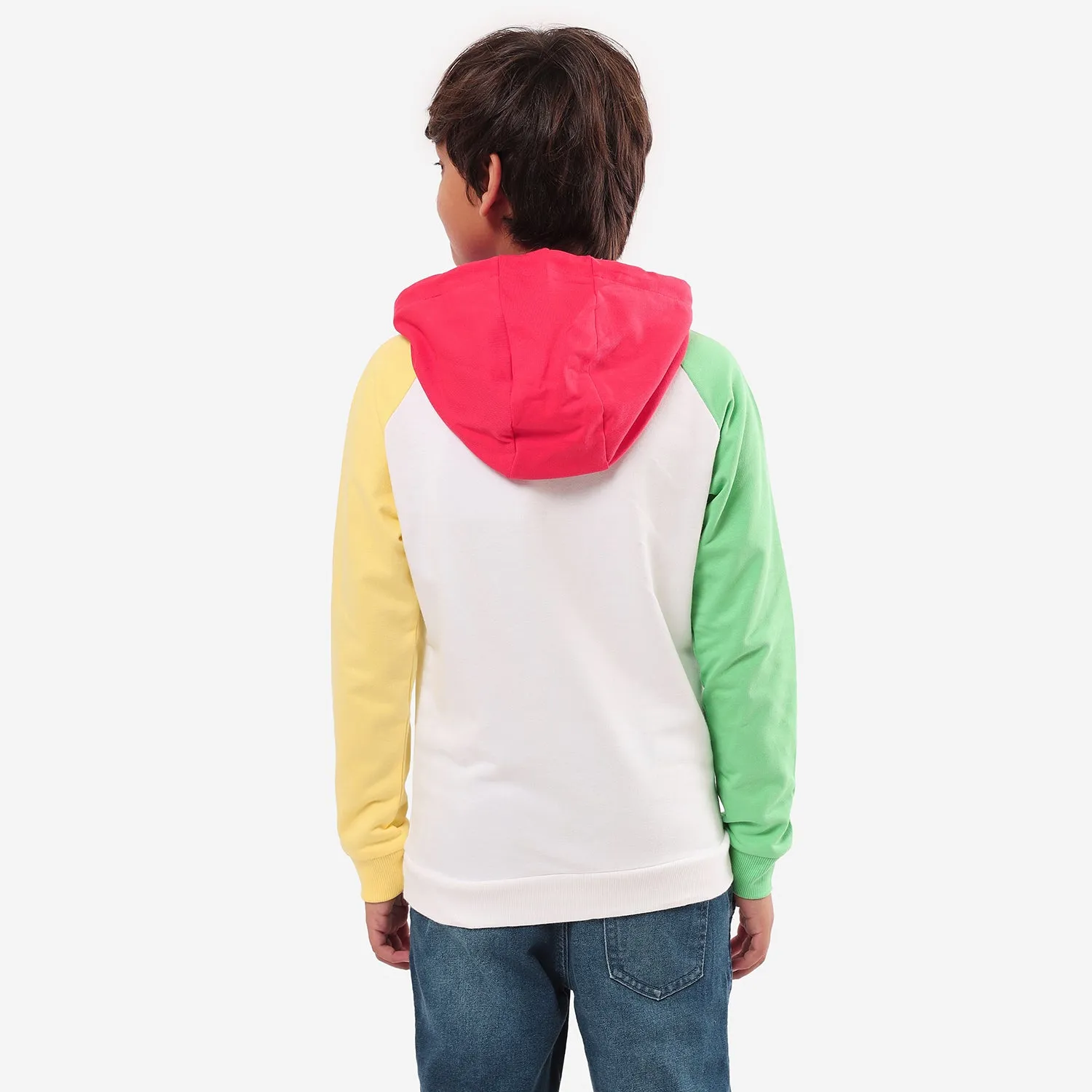 Boys Multi Color Embroidery Hoodies